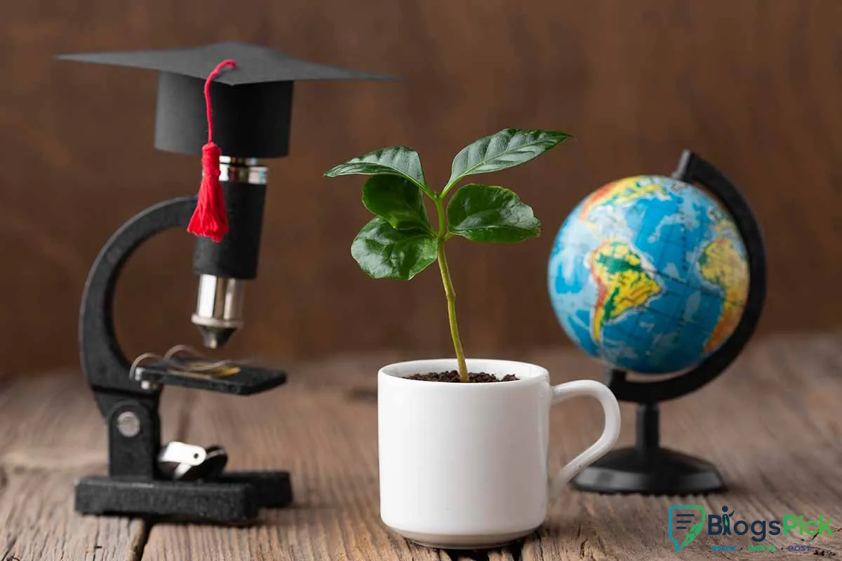The Role of Education in Personal and Career Growth